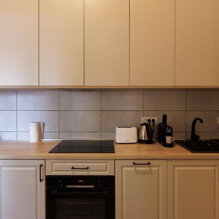 Victoriei Square Apartment Τιμισοάρα Εξωτερικό φωτογραφία